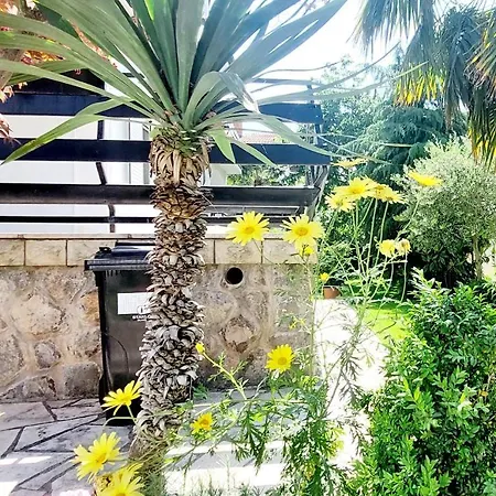 Apartment Bella 1